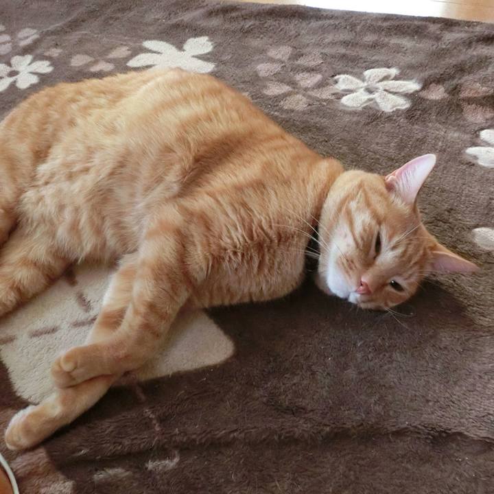 5c318413 91fa 4f3a bb5d ff09780eab6d