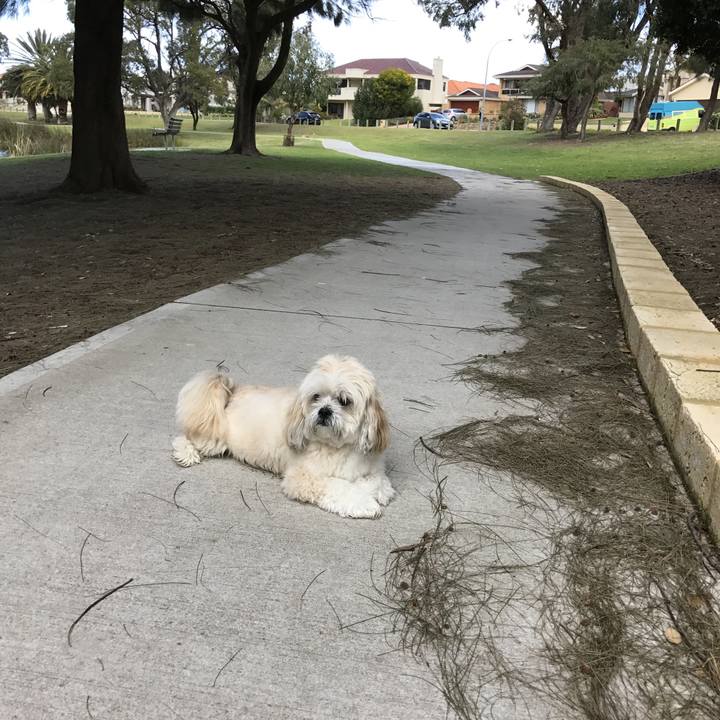 5c31b78c 0128 4d48 af35 0d4629be5539