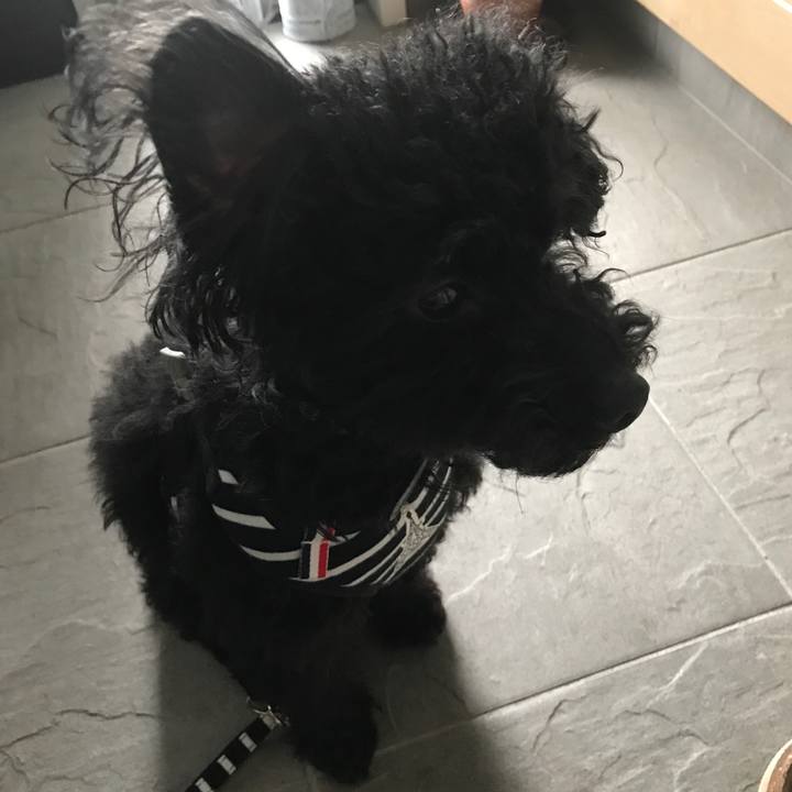 5c31c114 af5d 461f 8092 5eff5f1d39ed