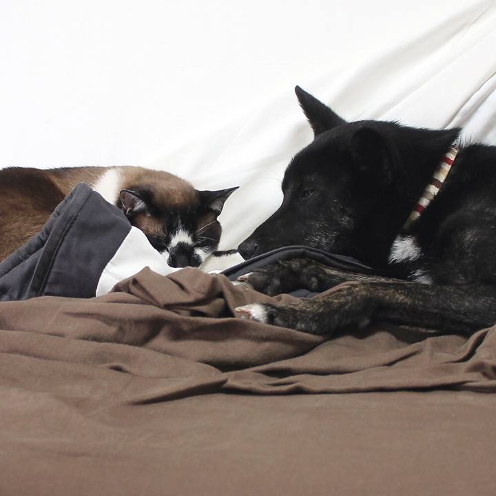 5c31ea8e 6af4 4f1d bb3b 89eb44e74371