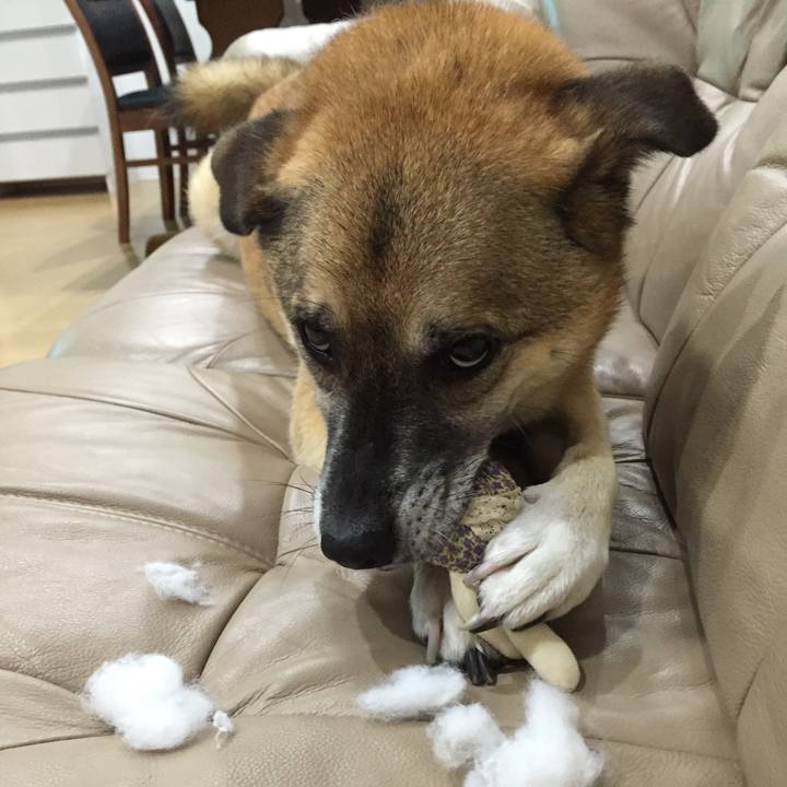 5c31fd4a 115e 486a 9596 aae06942b32f