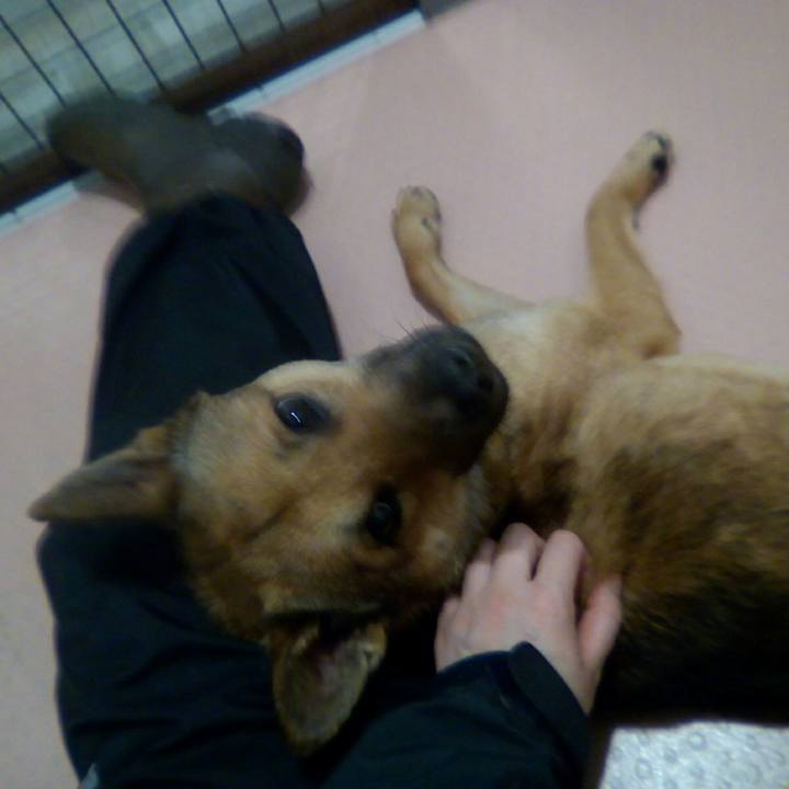 5c32f36d abdd 43e3 877f bc119d3db439