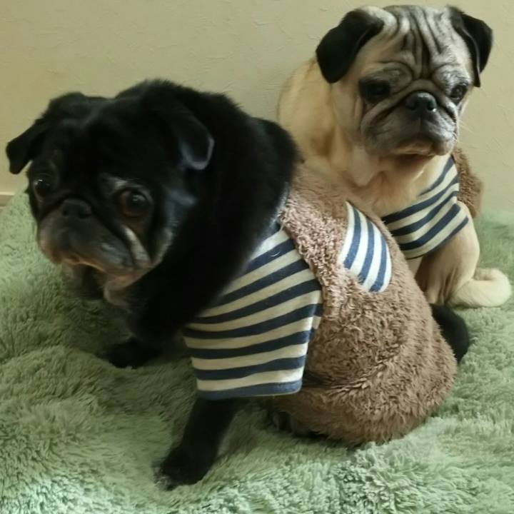 5c3344d3 4034 4b7e a01b a41b20a91e12