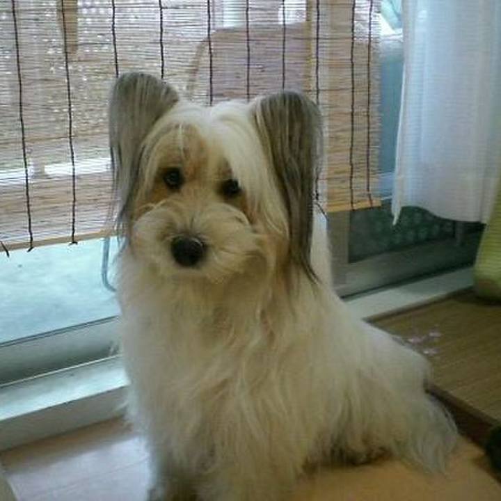 5c339c5b 8eea 4ec4 8f05 0f2f42e158d4