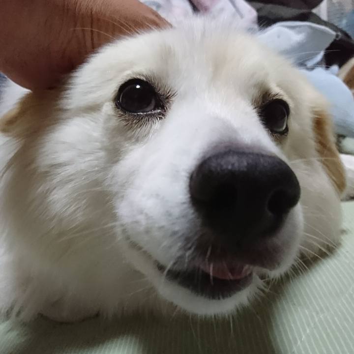 5c343c64 d07b 4fc7 b409 9aa0fc367e3b