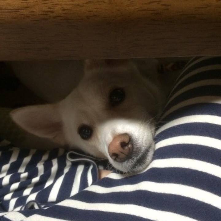 5c348152 2f51 4750 8bb7 7852b0afb47e