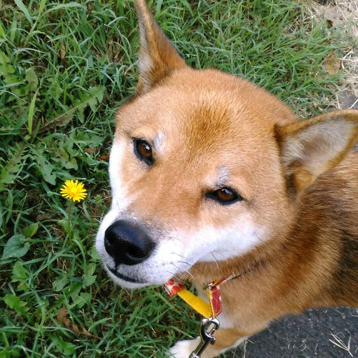 5c35c93c 09c9 43e2 b689 8cb2d34d9751