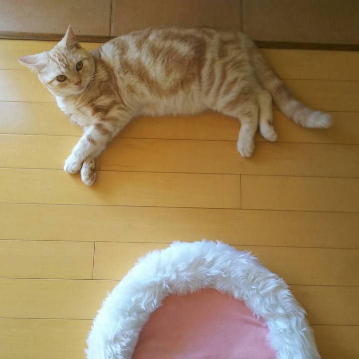 5c363b22 22ec 4f4b 9f0f ad277ff604b1