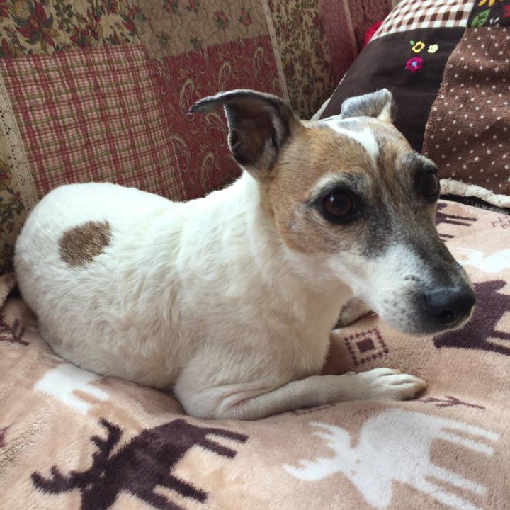 5c364743 2915 4ccb bba7 c6ca2d9b9742