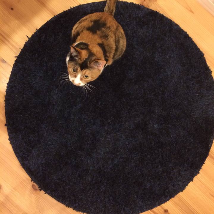 5c36ac5e b69d 4e1d 9225 50ccab00899f