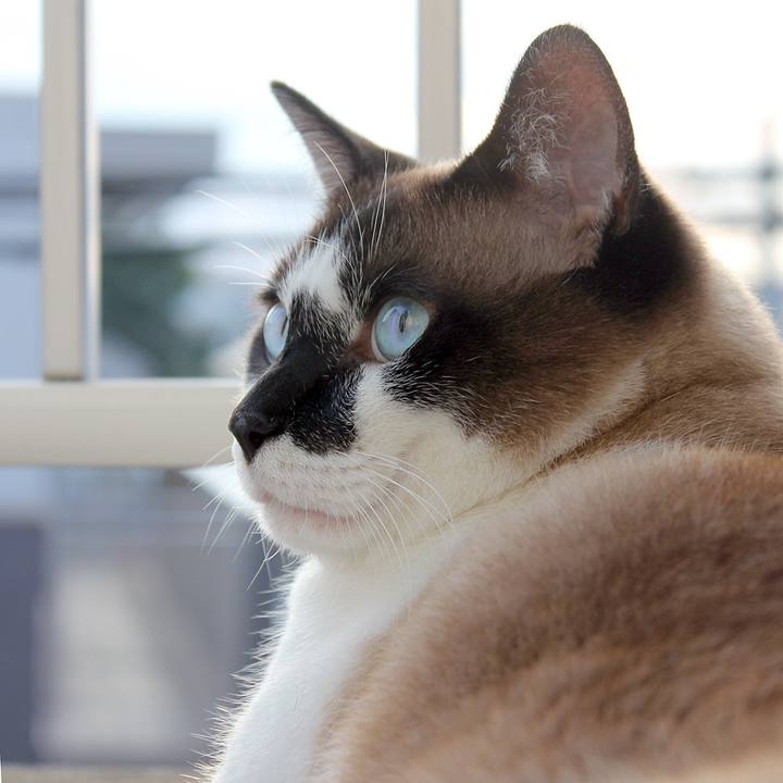 5c36c585 f3e0 4955 804c 8945d1569af9