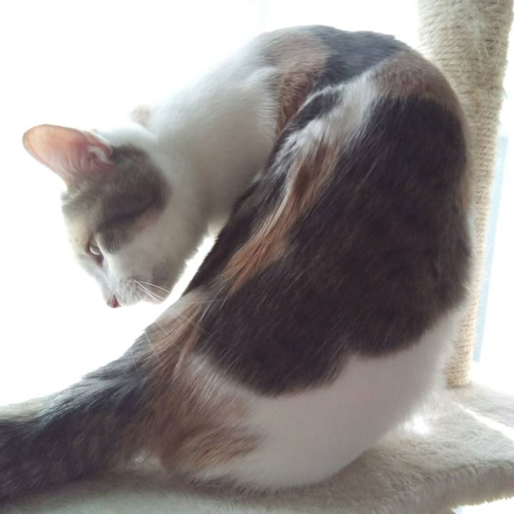 5c36fb46 ebc6 43d9 8913 306b290a0d34