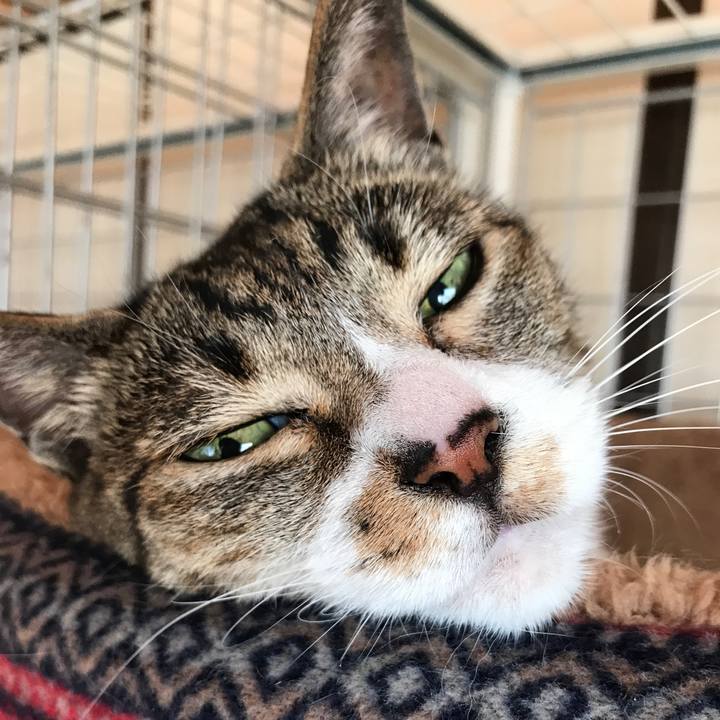 5c375e26 a6be 4e6e ab52 b601d4a89fa6