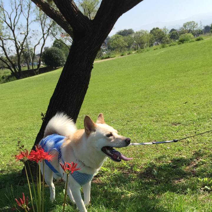 5c3800c7 ed7a 49f9 9e8f 4de171a91080