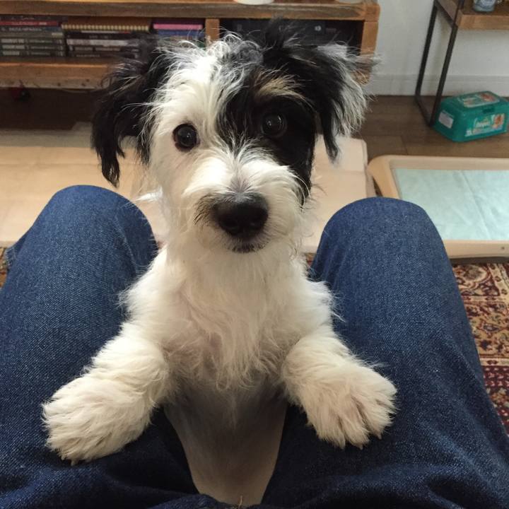 5c382586 d96e 420d 9687 ca08fc6030d7