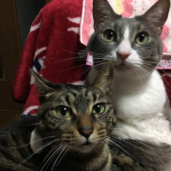 5c38f83e 5ef7 433a b838 38758a6b630d