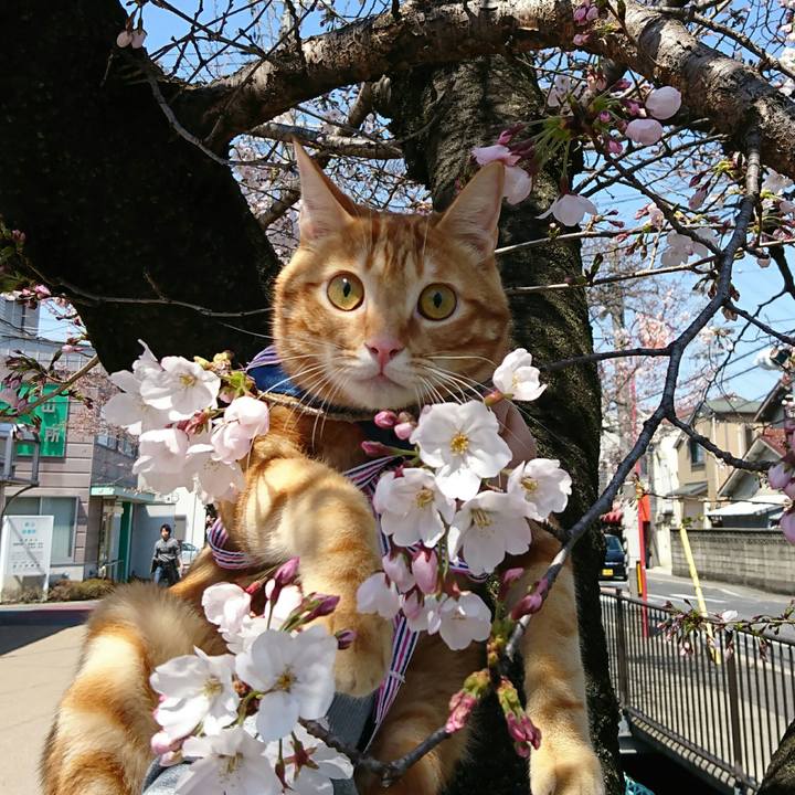 5c39f631 45d5 4c1f 8b44 594b3e151a81