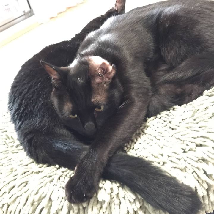 5c3ab0f9 d129 4a79 95c2 59f89e2341a7