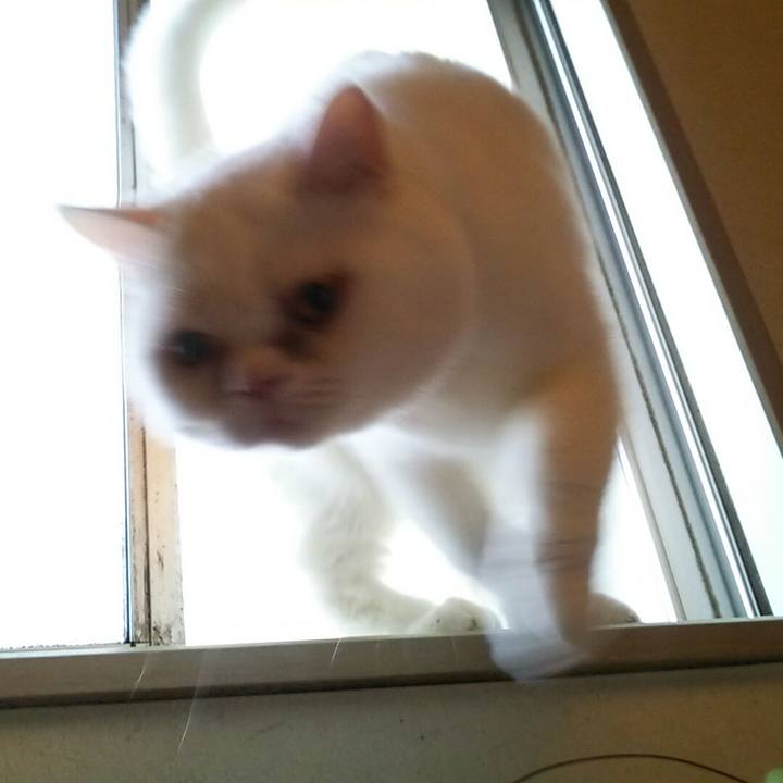 5c3b0e8a 21b0 47e1 b821 d6925d4072cb