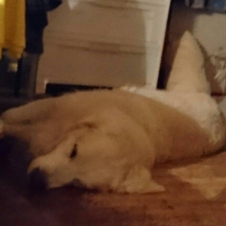 5c3b551b adf6 4b0a aec2 a030774b7bba