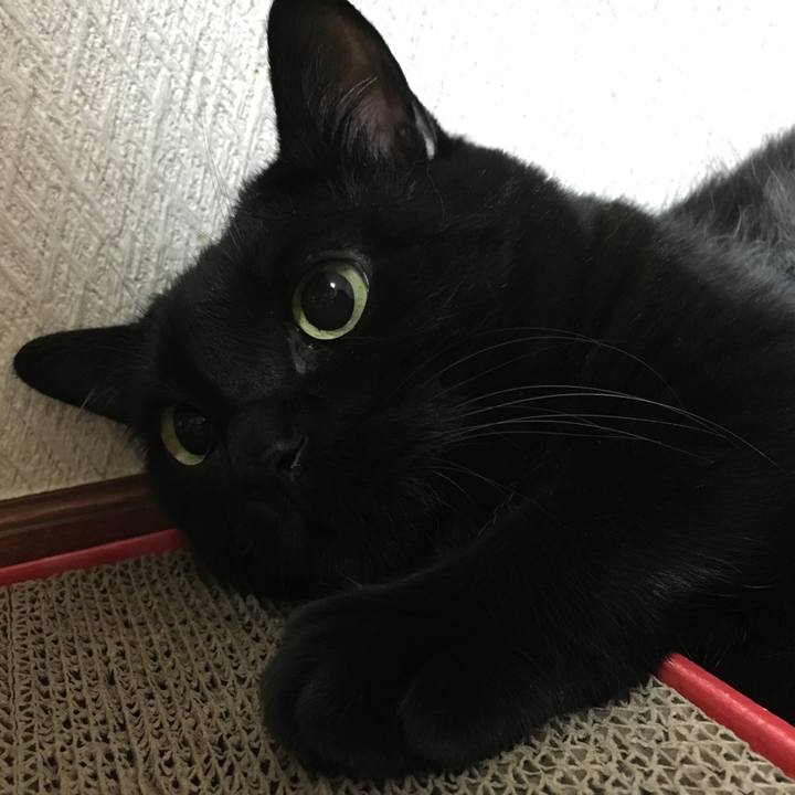 5c3b7e5e 9d15 4a4f 821b a0b95c929561