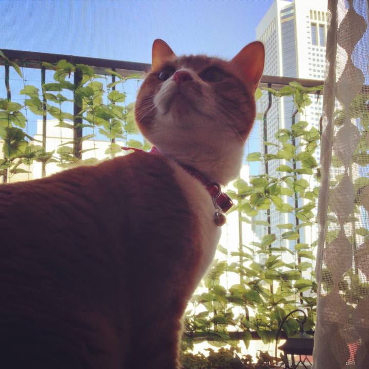 5c3bb499 ff33 48d2 99b8 392a707f1355