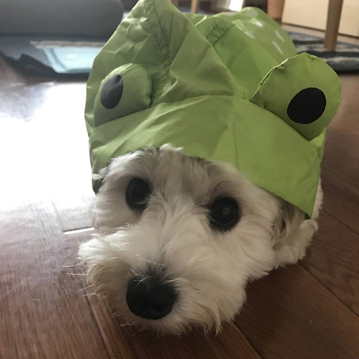 5c3c85c0 9f09 4f5c b663 12fa053fc2db