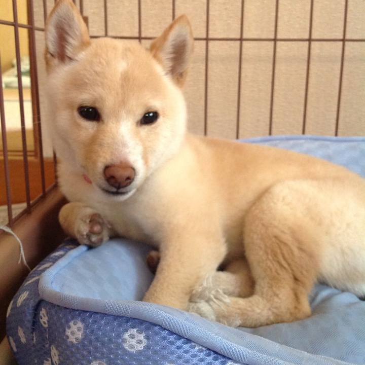 5c3ce643 2f17 43bf 959c fcc0fe9f240e