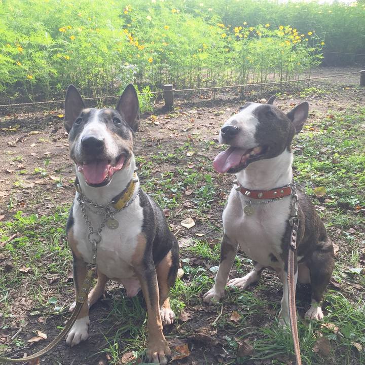 5c3d61d1 27ec 4709 b132 88c89e90a9fa