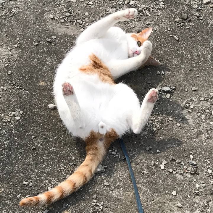 5c3d65fc a1b2 467c bc5f af00671cdd5f