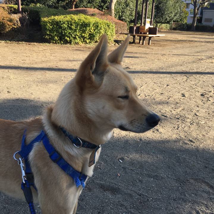 5c3dae39 68db 4f96 8dc0 c1a91a1c5e4e