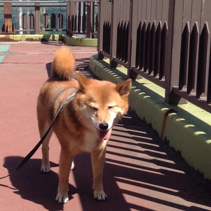 5c3dec2a 4719 4793 848d 818459545a88