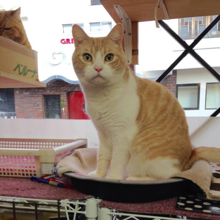 5c3e1c1f e0e9 4242 b4d5 60a9eb58dac5