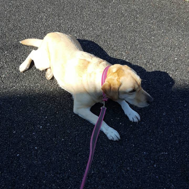 5c3e2069 7d9d 4baf 8d13 25498ba9174c