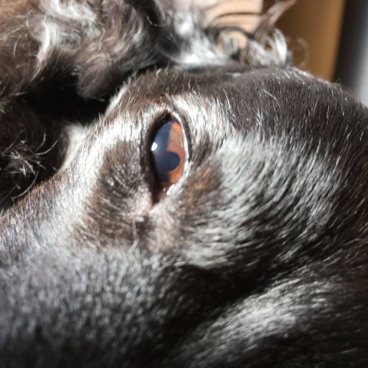 5c3e4e2b 8f7b 4b07 b10a 6dabfb0d572b