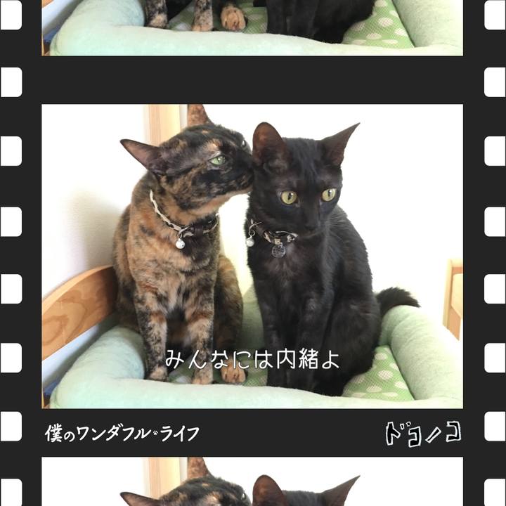 5c3e5e4f 405c 4ee4 a4df b14c8af52efb