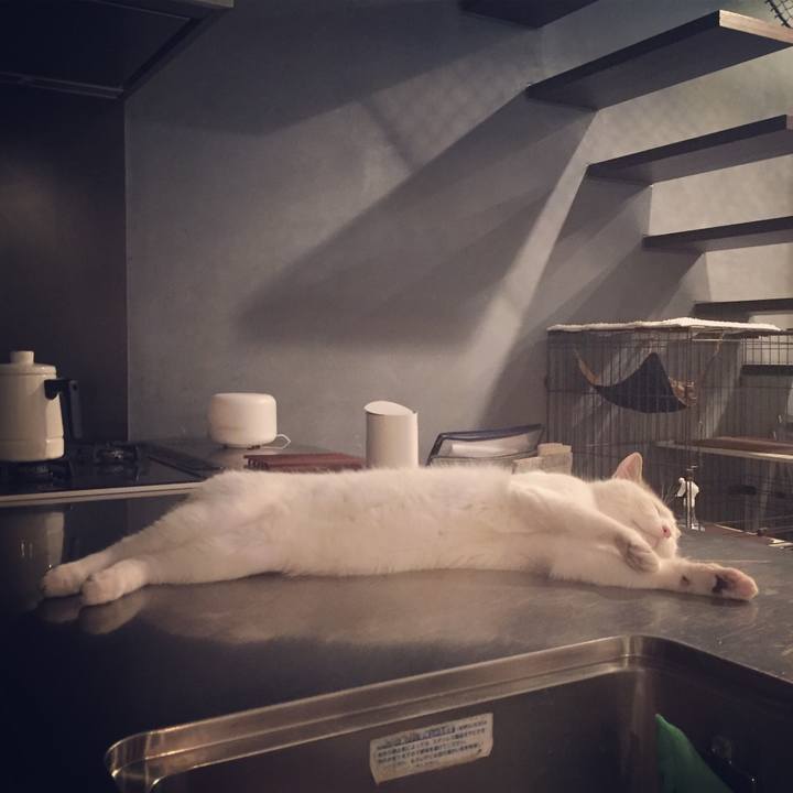 5c3ed222 9fbc 47de a704 e43edc5cf3fb