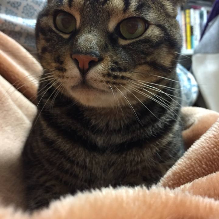 5c40aa1b 624c 4165 a97a 394bc07e11cd