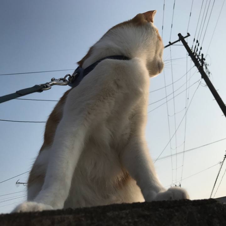 5c4213cb d8dc 4aea bf8b 8a72c72fb276