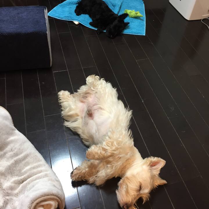 5c43153e fcd5 4e86 a24b a3743c503542