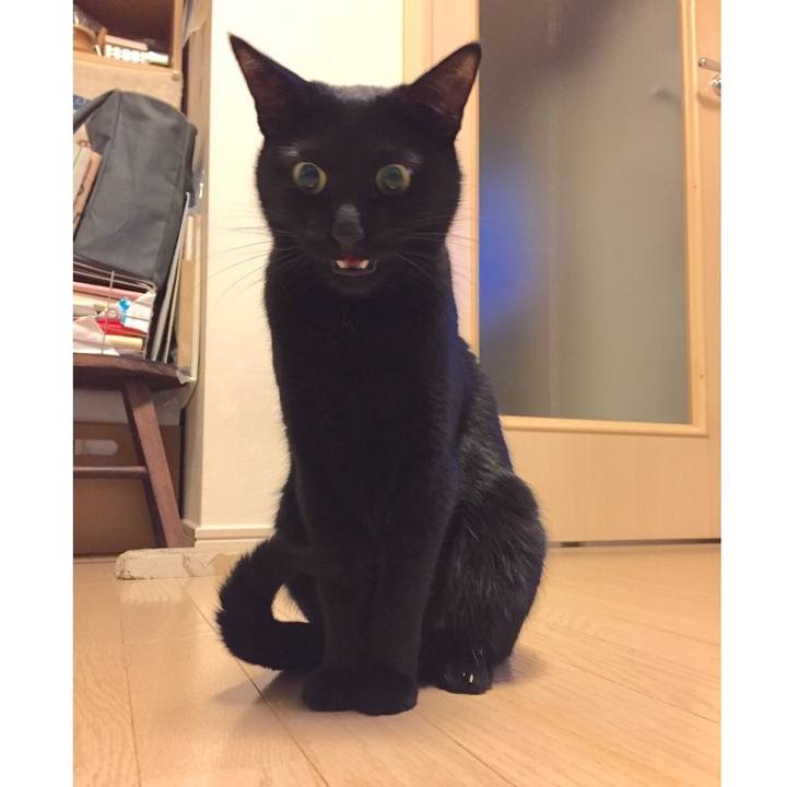 5c43441a 8644 4764 a71f a0982c723d3b