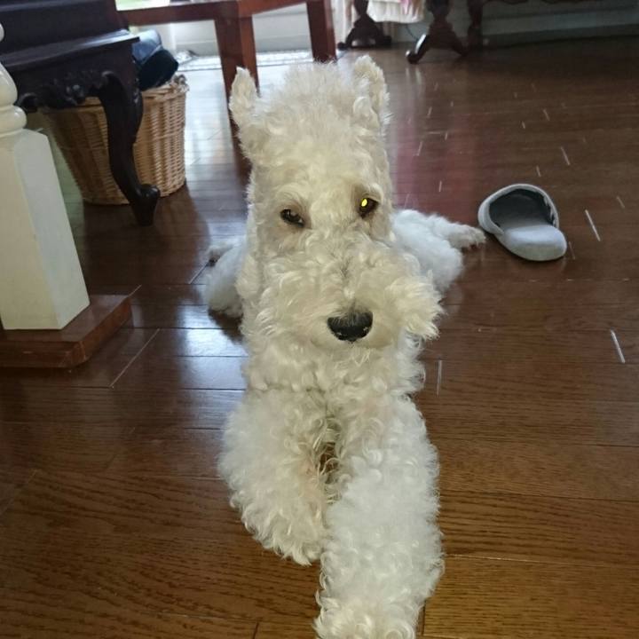 5c444aec 723e 4316 99a2 fa1fb57f2148