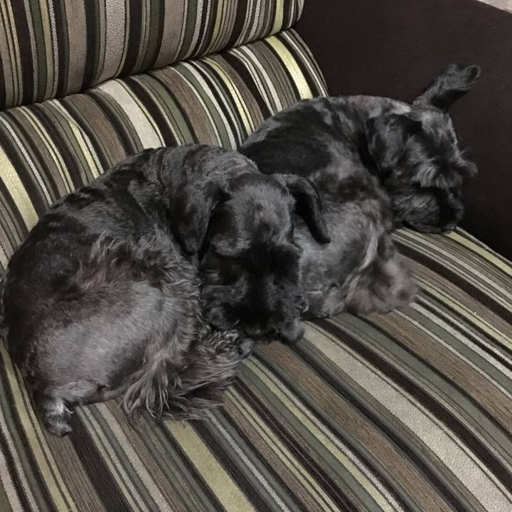 5c44ca9c 6451 4af9 ac13 b4653ffffb9c