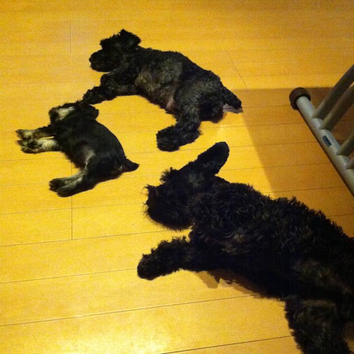 5c44da56 b899 4e03 a1f8 766c16f6680d