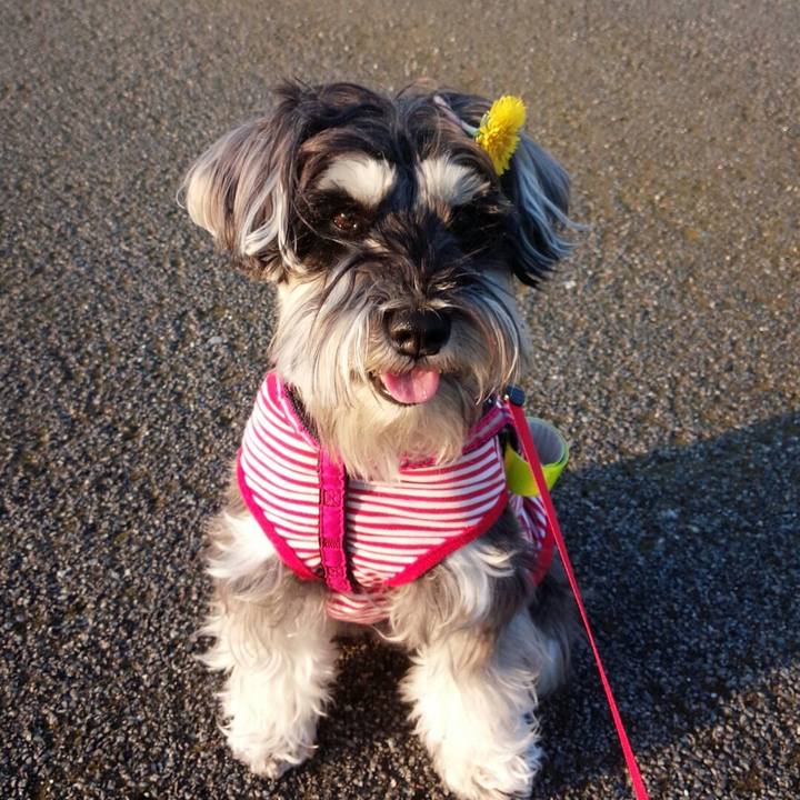 5c4514c8 9c2e 46ae 849d e9ca2f0c5641