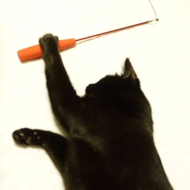 5c451a1a 60ae 40cf a765 cb0e3c6c0039