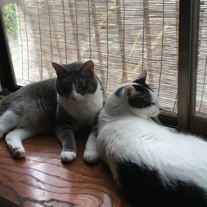 5c452e52 a653 4a90 a080 c0ac14080b59