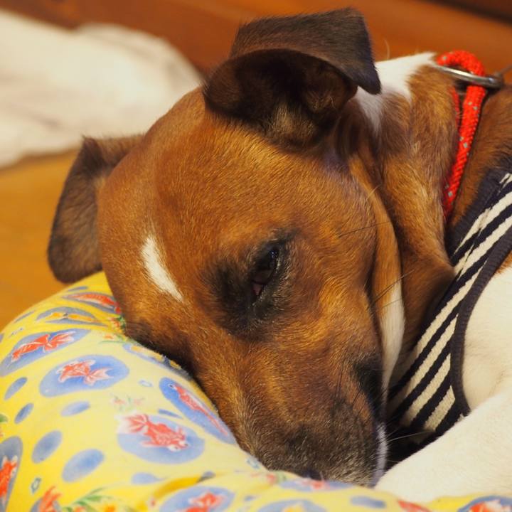 5c453cdf 2ba4 4cff a295 dea72ed33e50