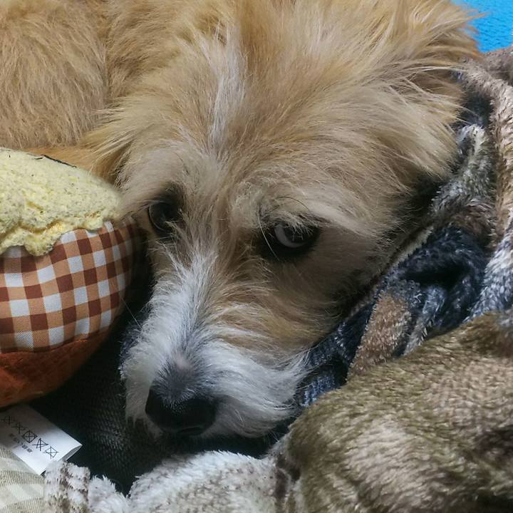 5c459b43 98fc 447d bee6 922fc6050aa6