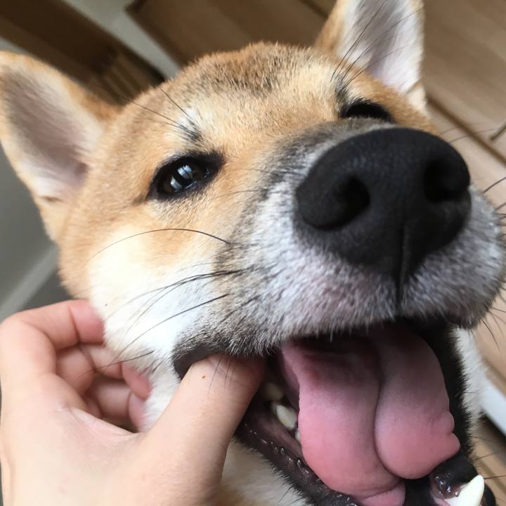 5c45e958 d531 4159 afbf 3f4726da99b8